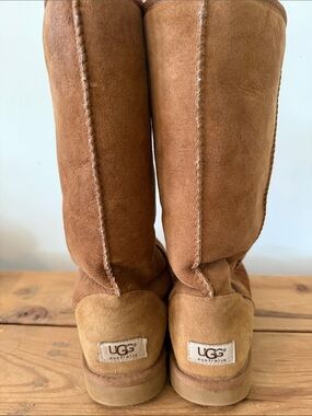 UGG Chestnut Tall Shearling Boots Women’s Uggs